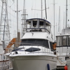 Thumbnail 15